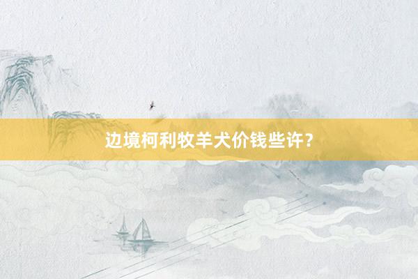 边境柯利牧羊犬价钱些许？