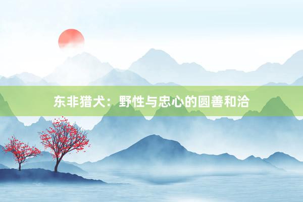 东非猎犬：野性与忠心的圆善和洽