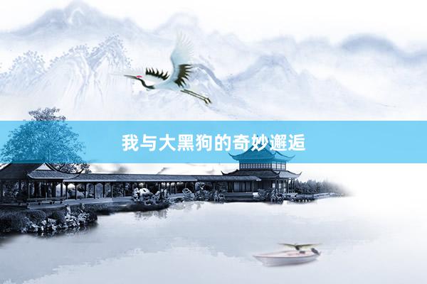 我与大黑狗的奇妙邂逅