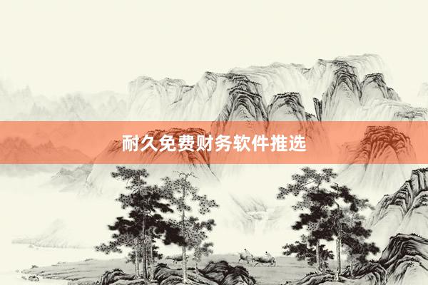耐久免费财务软件推选