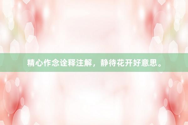 精心作念诠释注解，静待花开好意思。